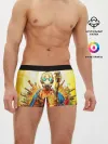 Мужские трусы боксеры / Borderlands