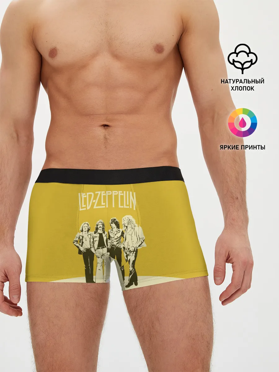 Мужские трусы боксеры / Led Zeppelin