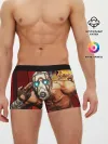 Мужские трусы боксеры / BORDERLANDS 3