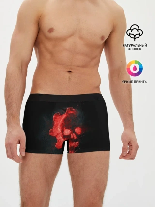 Мужские трусы боксеры / GEARS 5