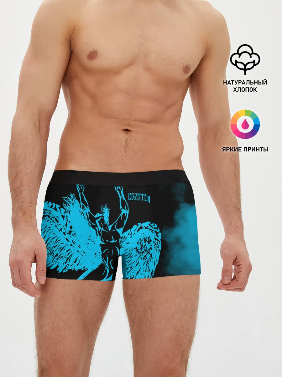Мужские трусы боксеры / Led Zeppelin