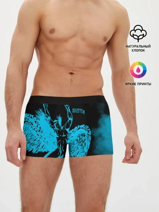 Мужские трусы боксеры / Led Zeppelin