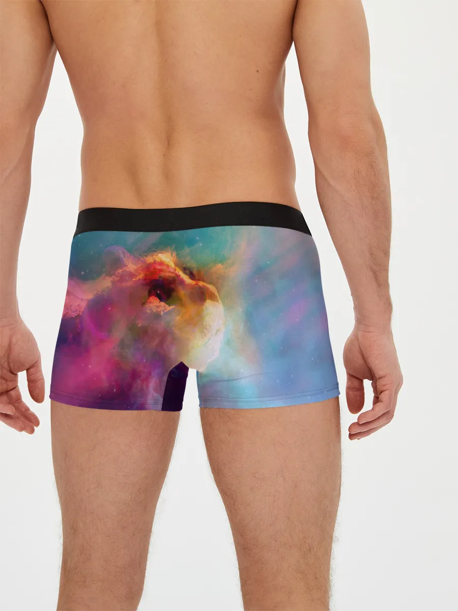 Мужские трусы боксеры / КОСМИЧЕСКИЙ КОТ