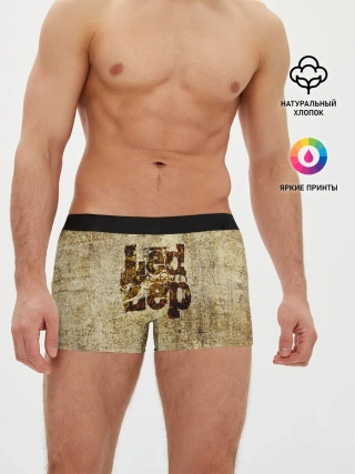 Мужские трусы боксеры / Led Zeppelin