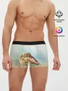 Мужские трусы боксеры / Рыба