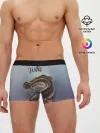 Мужские трусы боксеры / Fish