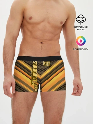 Мужские трусы боксеры / PUBG