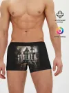 Мужские трусы боксеры / S.T.A.L.K.E.R.