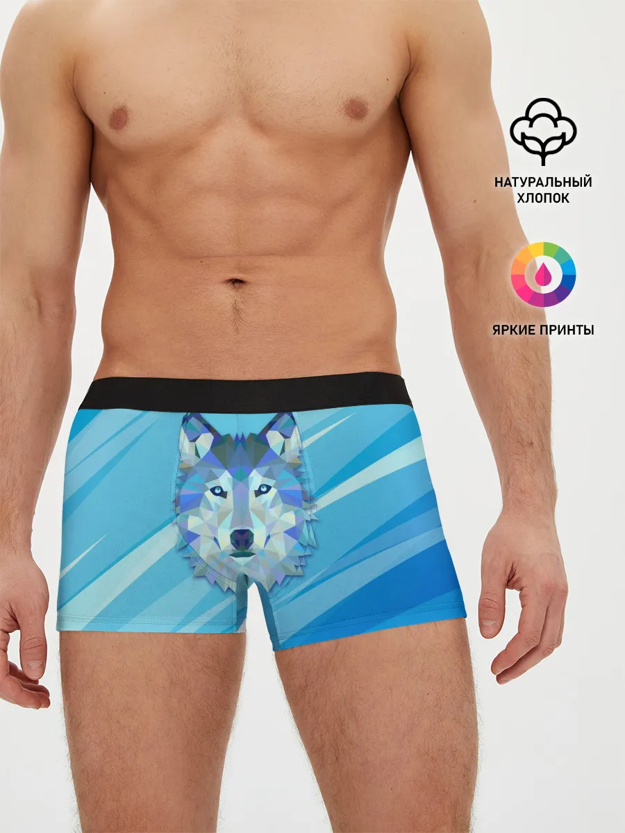 Мужские трусы боксеры / Холодный волк