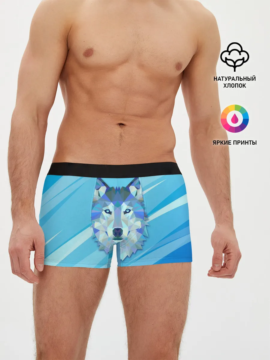 Мужские трусы боксеры / Холодный волк