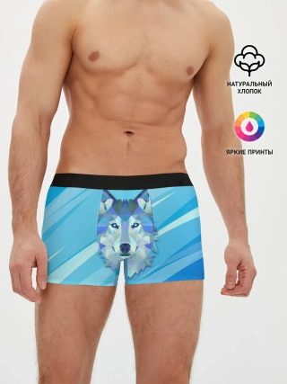 Мужские трусы боксеры / Холодный волк