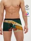 Мужские трусы боксеры / Сан Хосе Олд