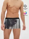 Мужские трусы боксеры / мир юрского периода