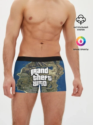 Мужские трусы боксеры / GTA