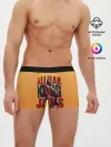 Мужские трусы боксеры / LeBron James