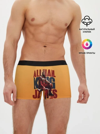 Мужские трусы боксеры / LeBron James