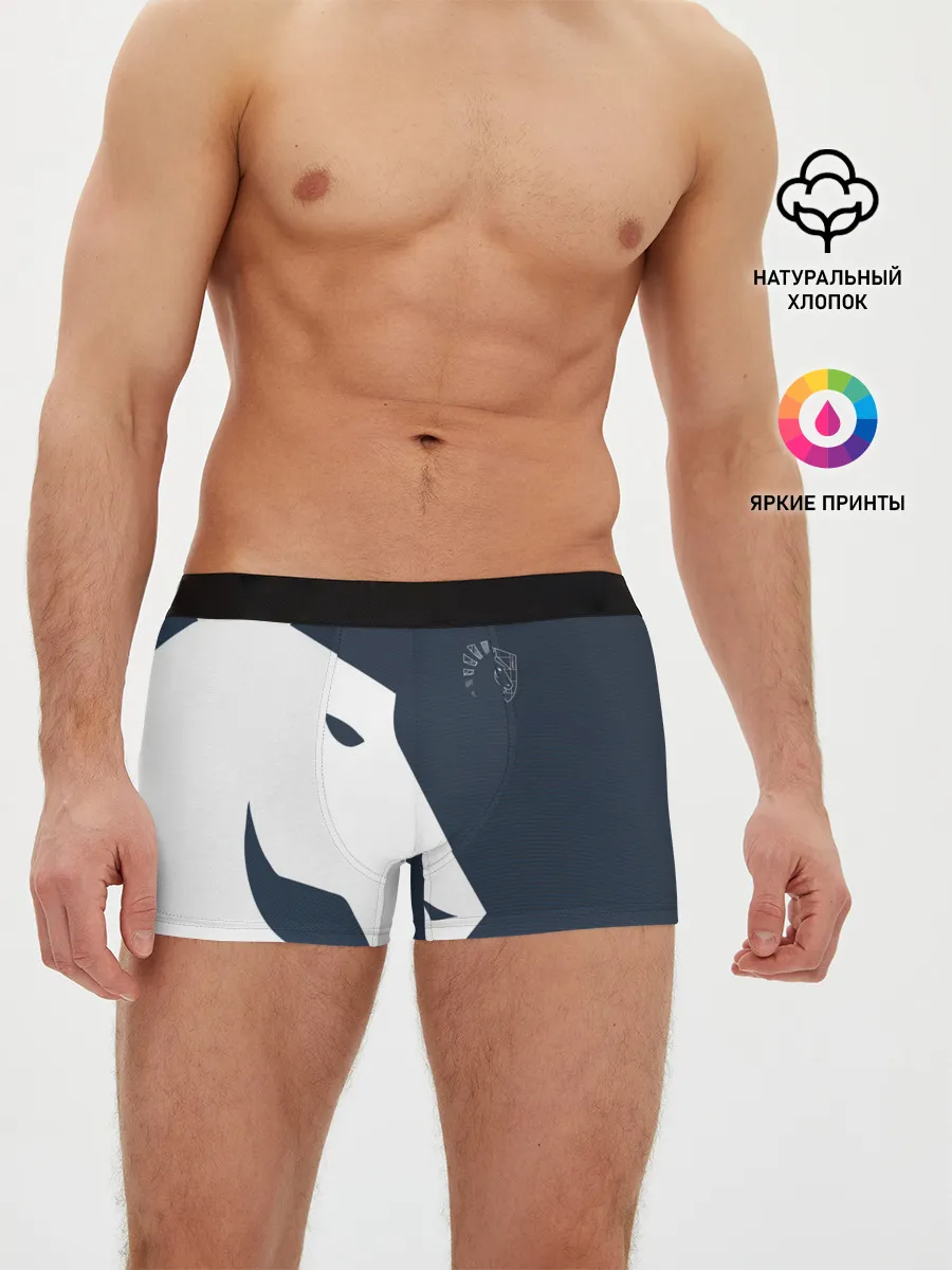 Мужские трусы боксеры / cs:go - Liquid team