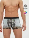 Мужские трусы боксеры / For Honor