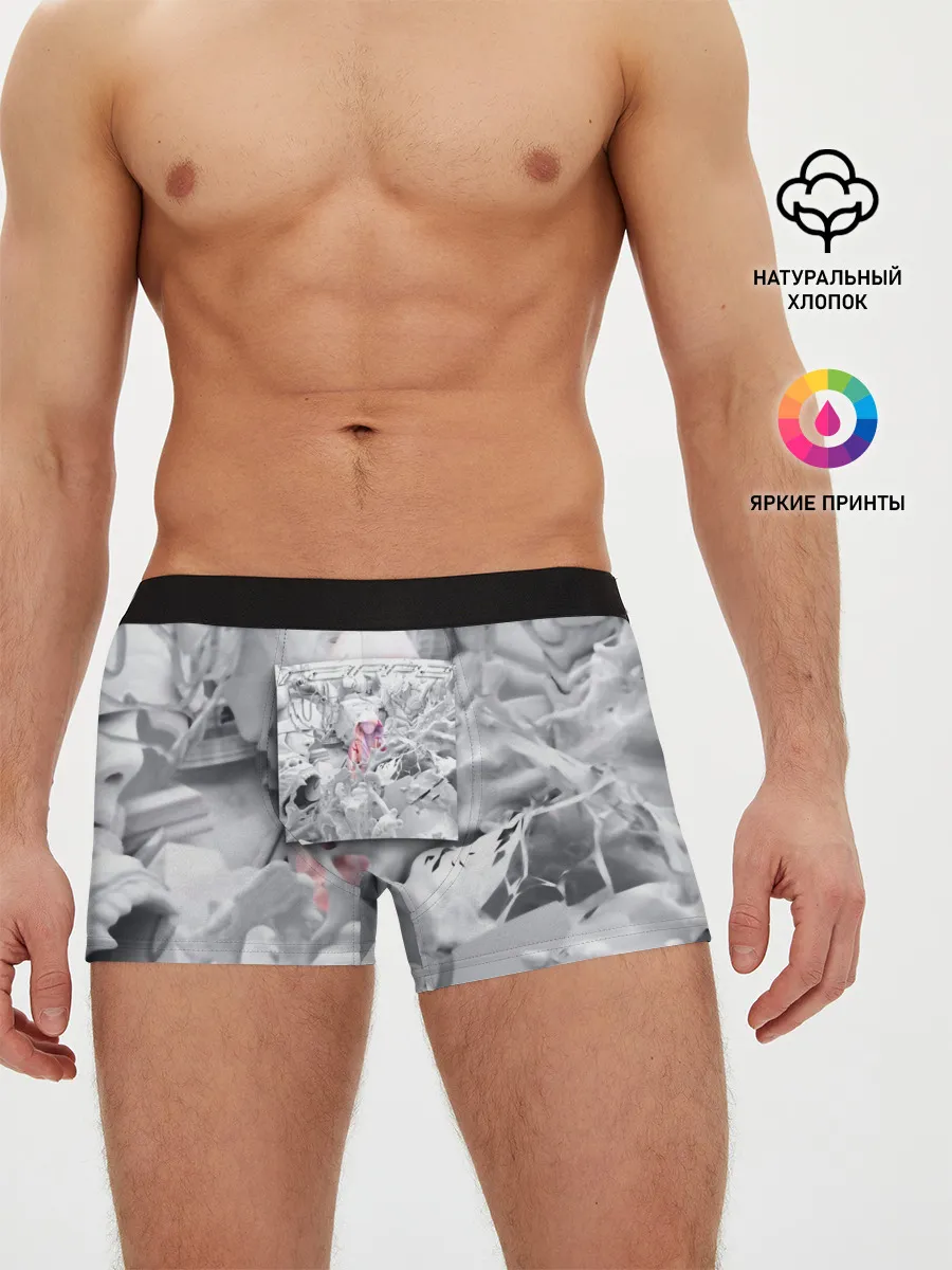 Мужские трусы боксеры / Boulevard Depo RAPP2