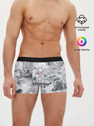 Мужские трусы боксеры / Boulevard Depo RAPP2