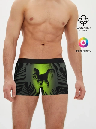 Мужские трусы боксеры / Велоцераптор