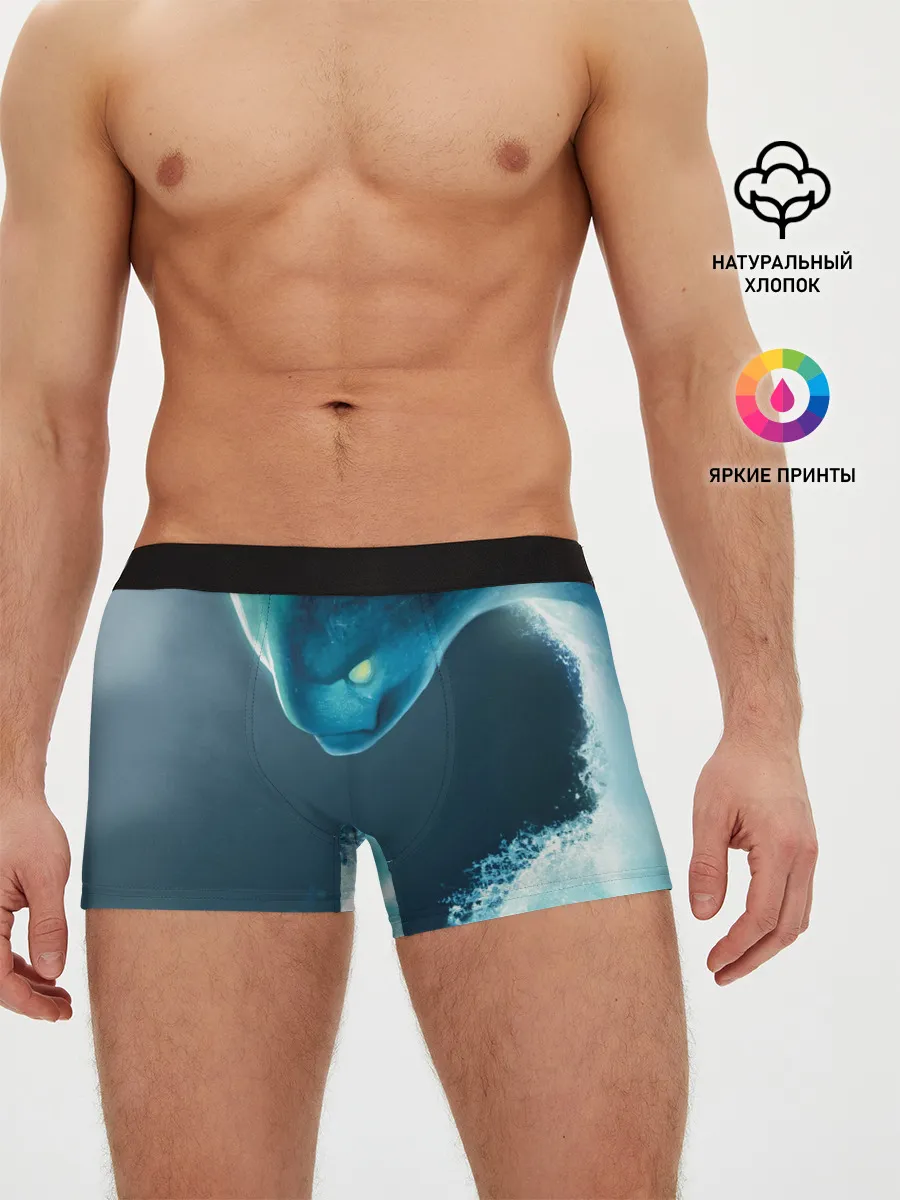 Мужские трусы боксеры / DOTA 2 Morphling