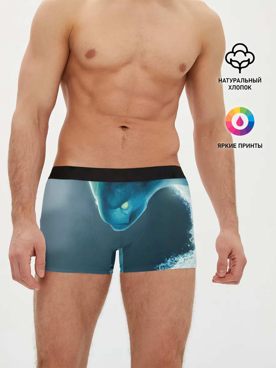 Мужские трусы боксеры / DOTA 2 Morphling