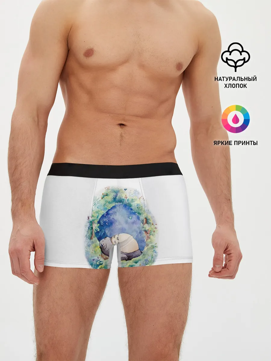 Мужские трусы боксеры / Тоторо спит