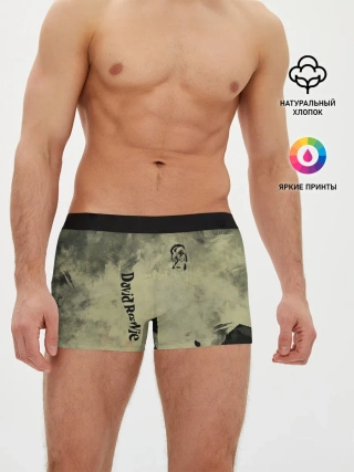 Мужские трусы боксеры / David Bowie