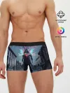Мужские трусы боксеры / DEVIL MAY CRY 5