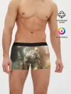 Мужские трусы боксеры / God of War