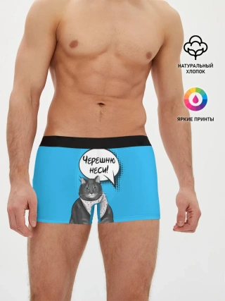 Мужские трусы боксеры / Толстый кот