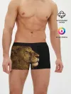 Мужские трусы боксеры / Лев