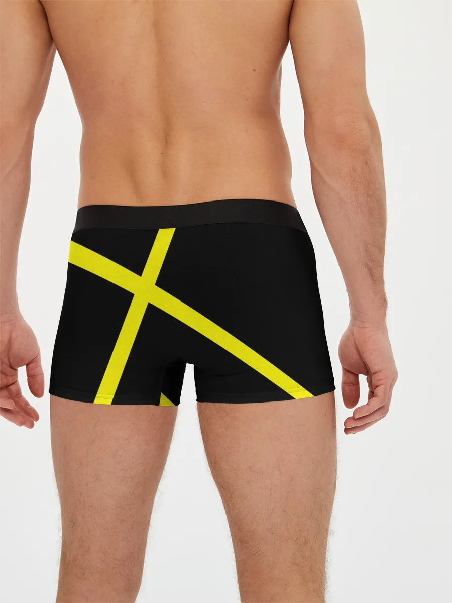 Мужские трусы боксеры / Twenty One Pilots