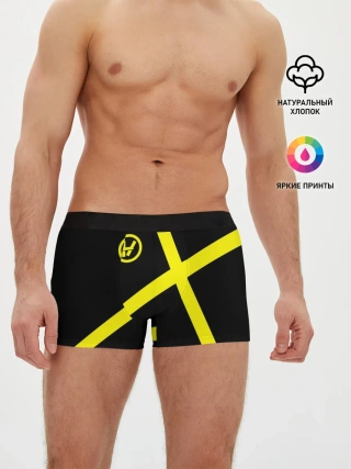 Мужские трусы боксеры / Twenty One Pilots