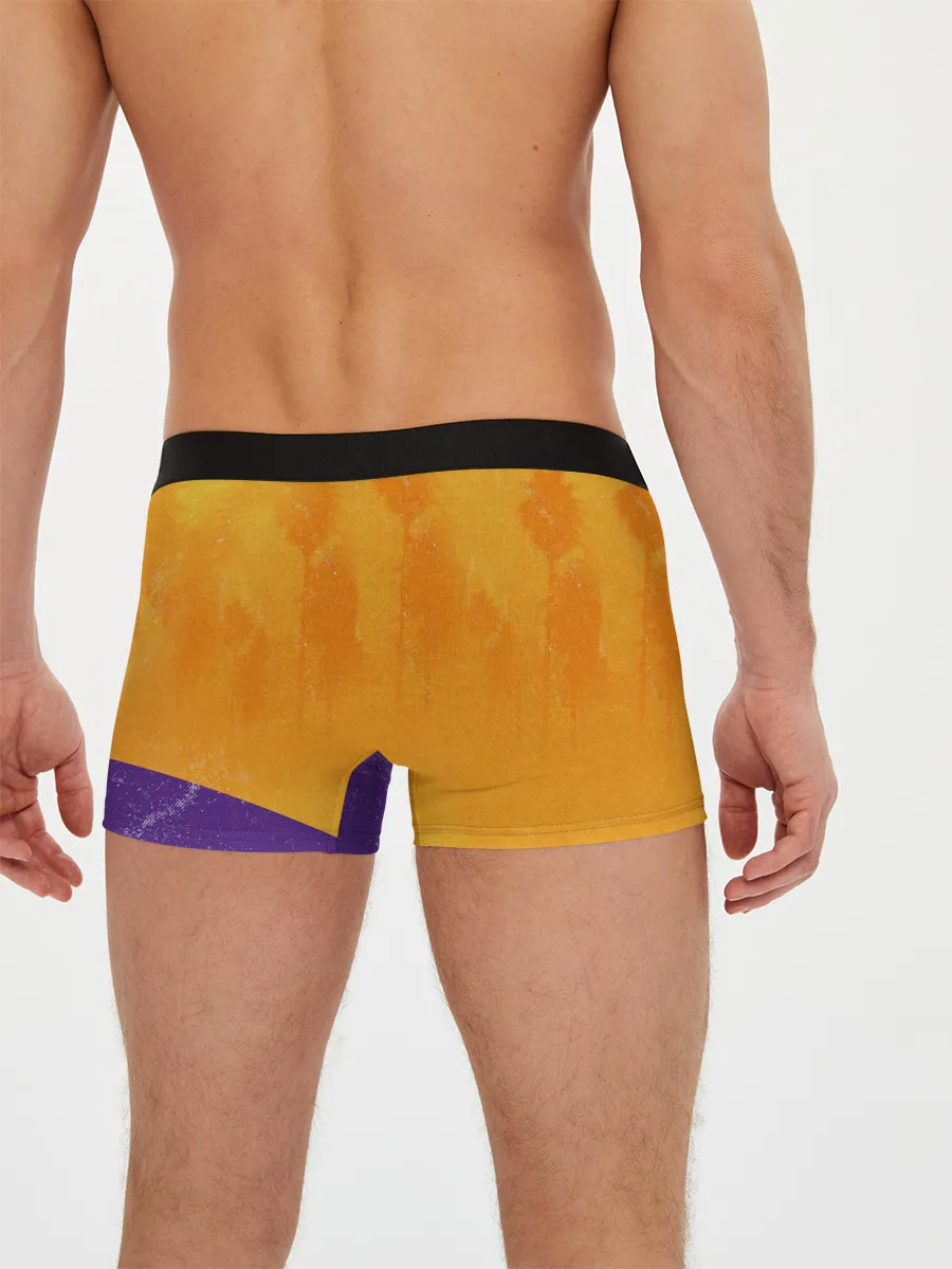 Мужские трусы боксеры / Lebron