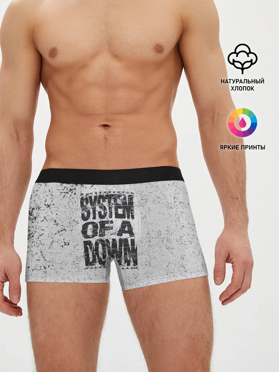Мужские трусы боксеры / System of a Down
