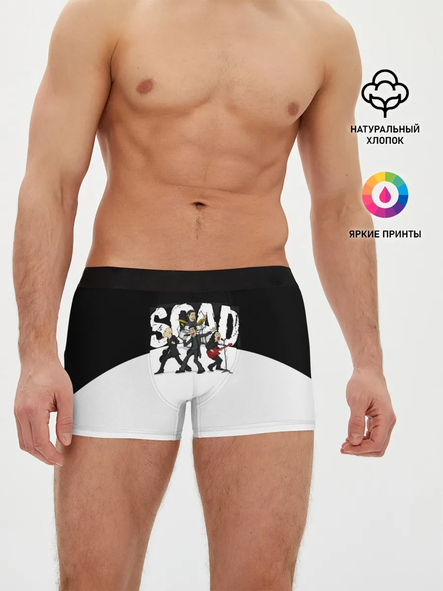 Мужские трусы боксеры / System of a Down