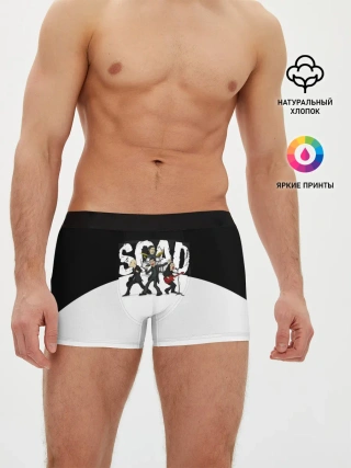 Мужские трусы боксеры / System of a Down