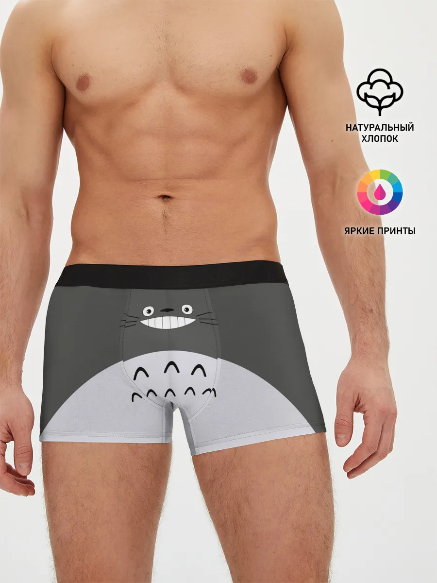 Мужские трусы боксеры / Большой Тоторо