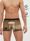 Мужские трусы боксеры / Far Cry 5