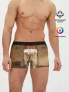 Мужские трусы боксеры / Far Cry 5