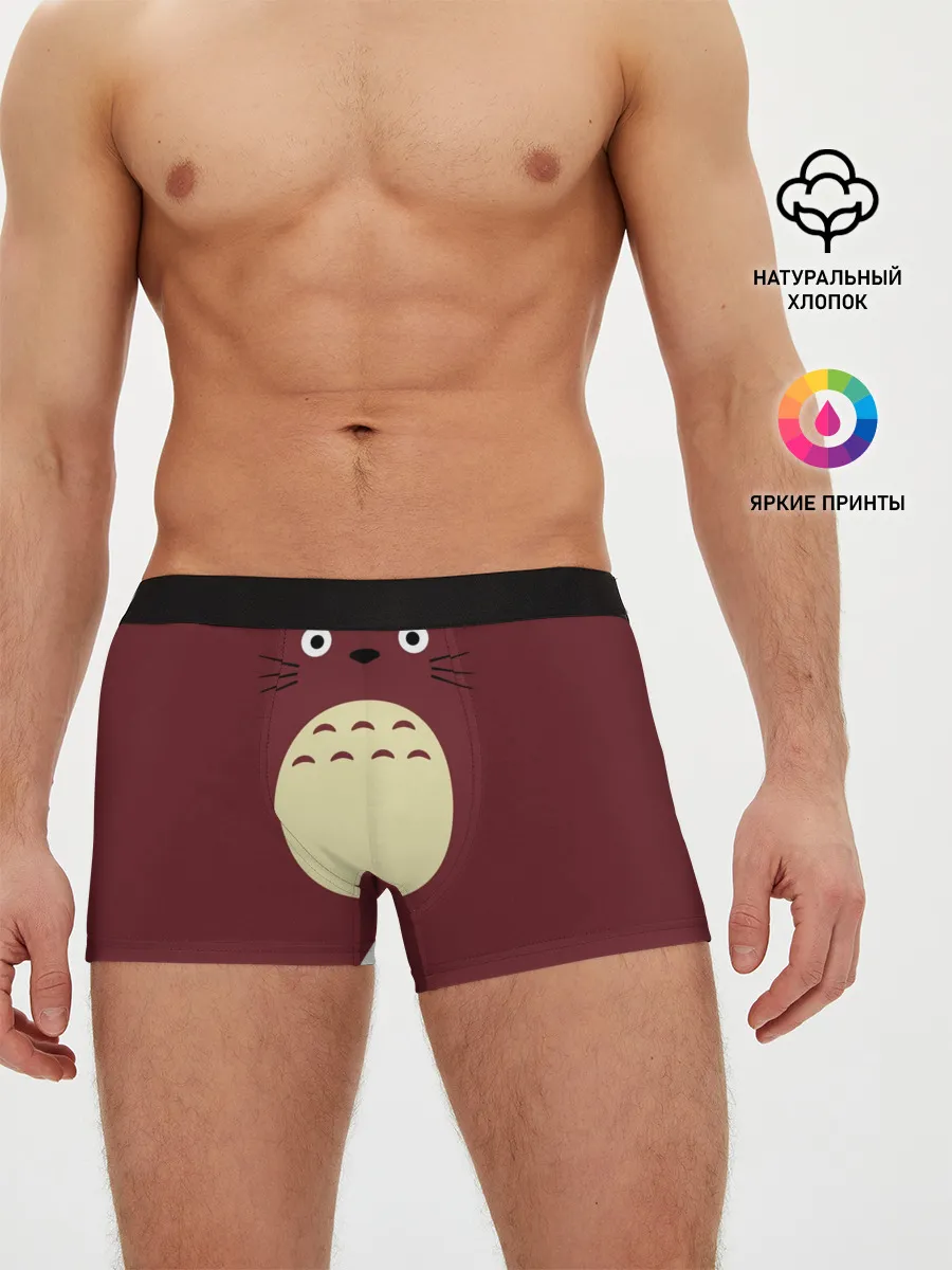 Мужские трусы боксеры / Я - Тоторо