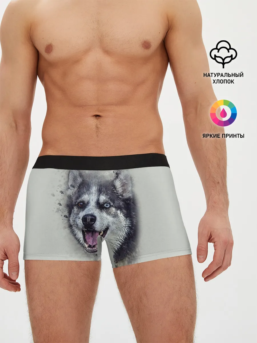 Мужские трусы боксеры / Хаска