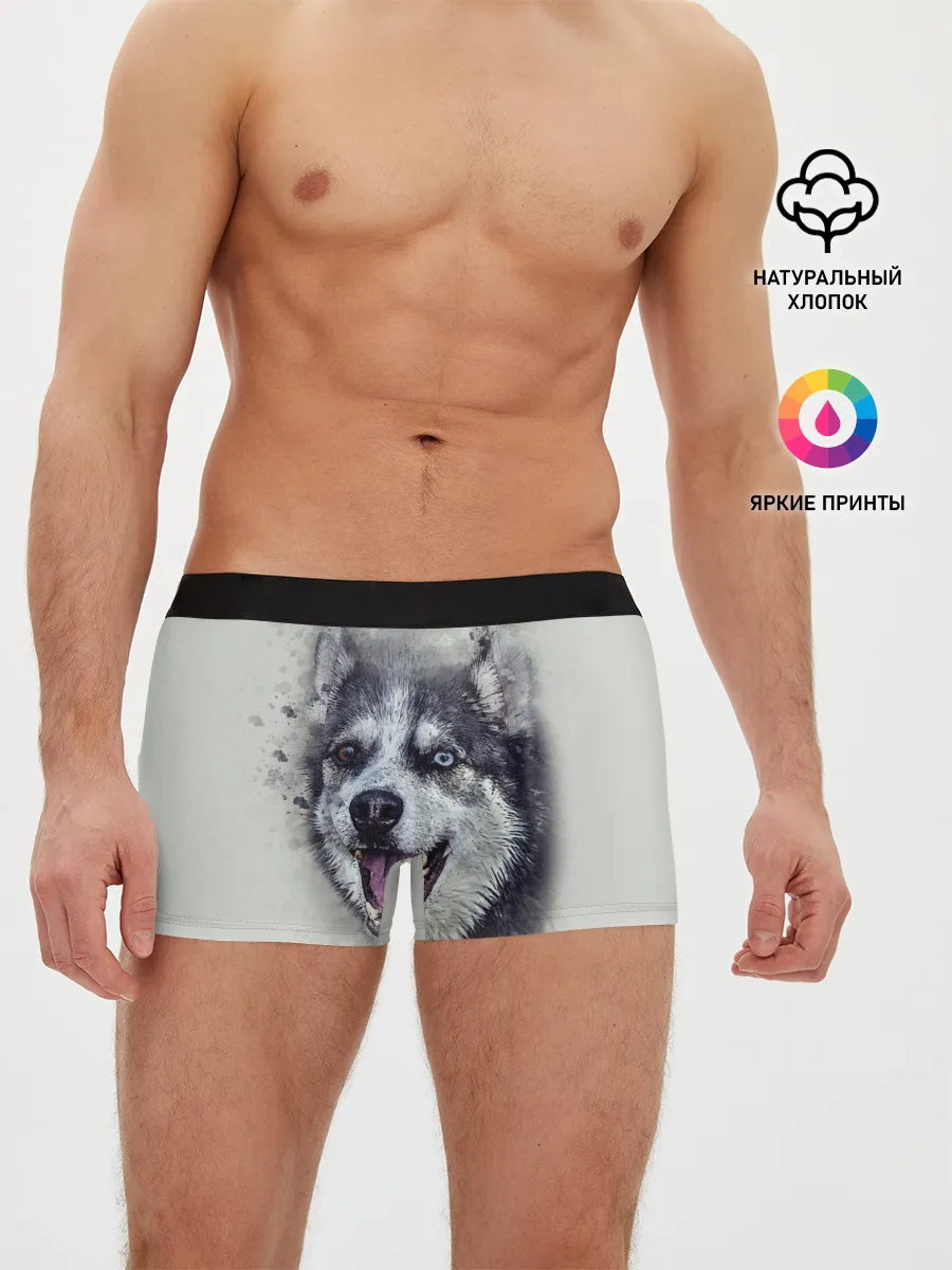 Мужские трусы боксеры / Хаска