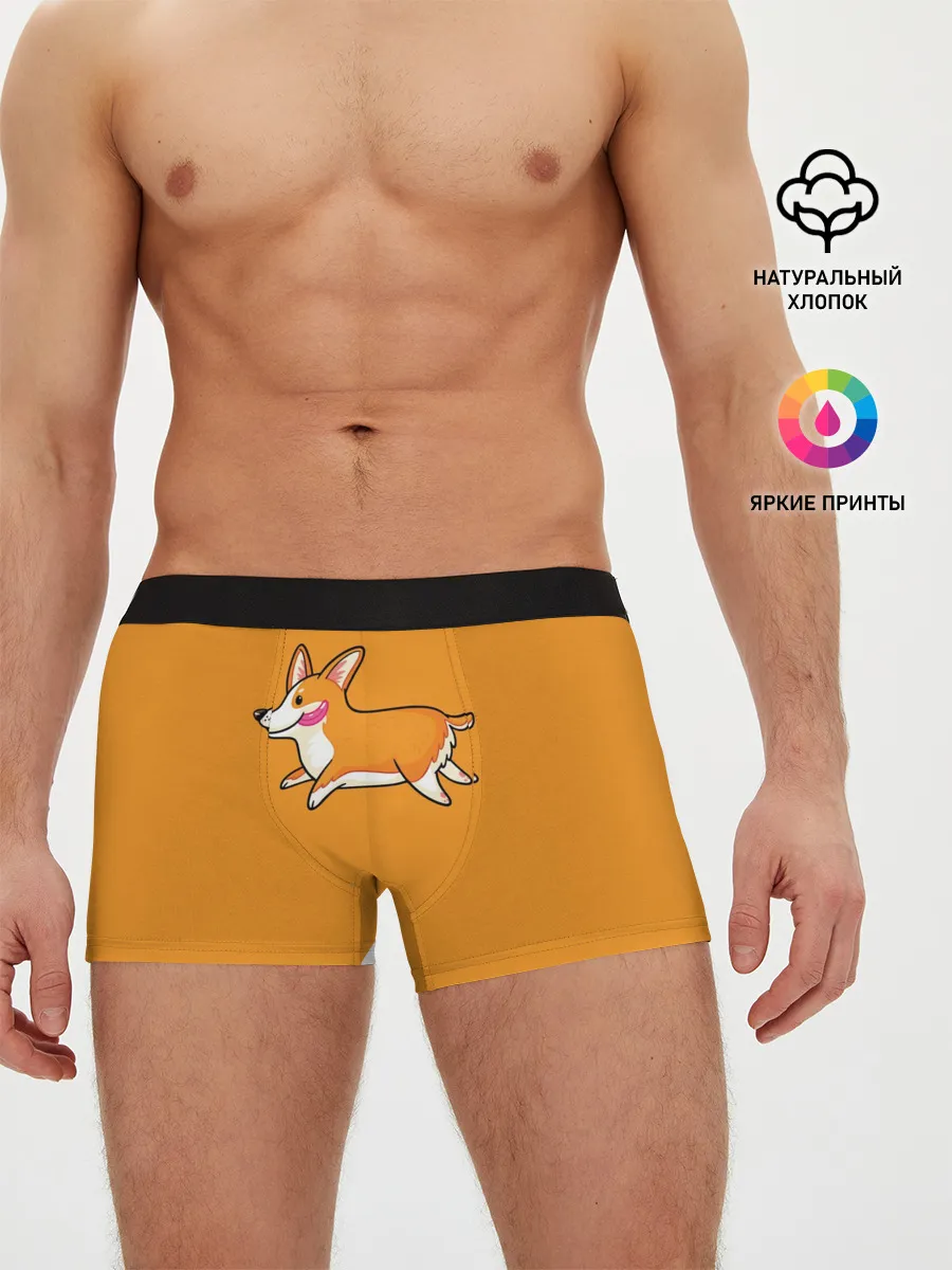 Мужские трусы боксеры / Корги