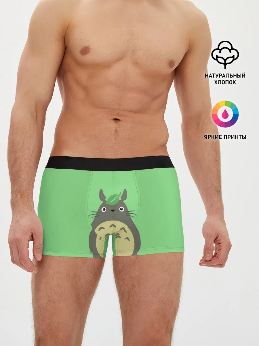 Мужские трусы боксеры / Тоторо под листочком