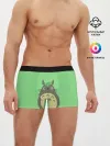 Мужские трусы боксеры / Тоторо под листочком
