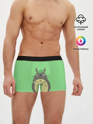 Мужские трусы боксеры / Тоторо под листочком