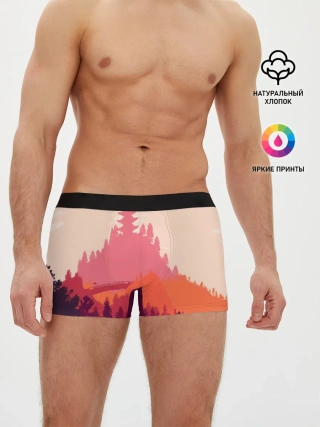 Мужские трусы боксеры / Firewatch